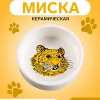 Миска для грызунов &laquo;Сытая мордочка&raquo;, 80 мл, 8.5&times;3 см, керамика, белая