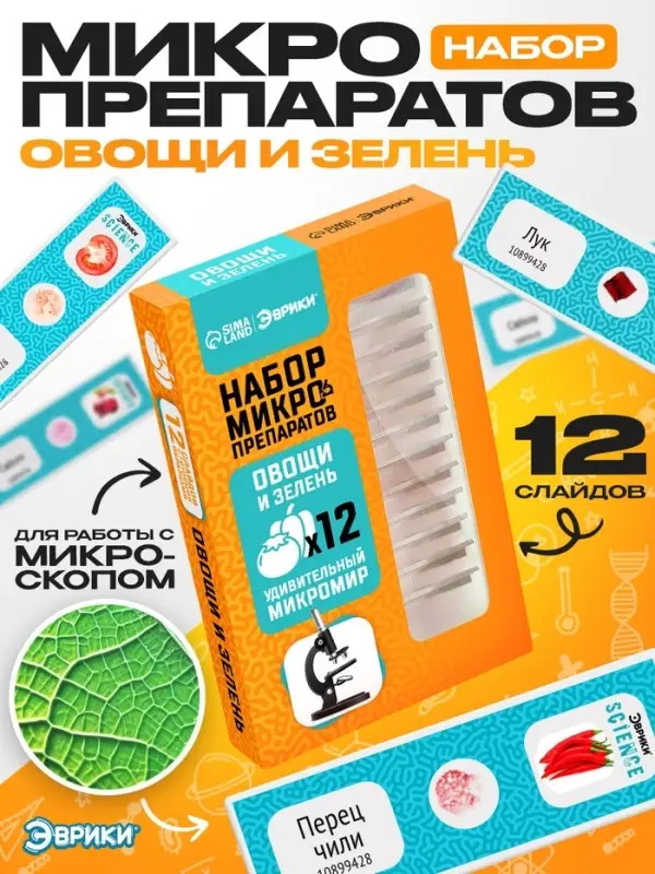 Набор для опытов &laquo;Набор микропрепаратов&raquo;, овощи и зелень