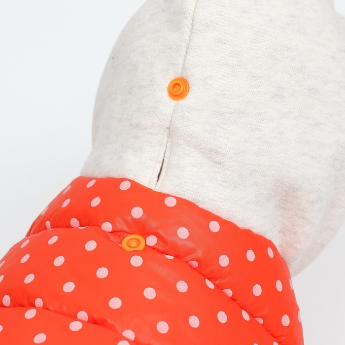 Комбинезон  Комбинезон "Для прогулки", размер 10 (ДС 21 см, ОГ 34 см, ОШ 24 см), оранжевый