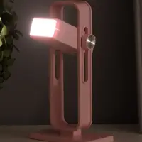 Ночник &laquo;Рудс&raquo; LED 3 Вт USB АКБ розовый 9&times;4.8&times;16 см