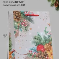 Пакет подарочный &laquo;Новогодние веточки&raquo;, 18&times;10&times;22.3 см