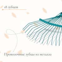 Грабли веерные, проволочные, 18 зубцов, тулейка 30 мм, без черенка