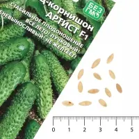 Семена Огурец &laquo;Артист&raquo;, корнишон, F1, 6 шт., &laquo;Уральский Дачник&raquo;