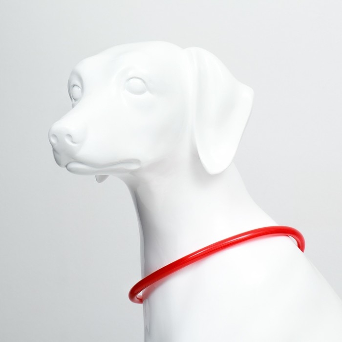 Ошейник - кольцо с подсветкой, зарядка от USB, до 70 см, 3 режима свечения, красный Ошейник - кольцо с подсветкой, зарядка от USB, до 70 см, 3 режима свечения, красный