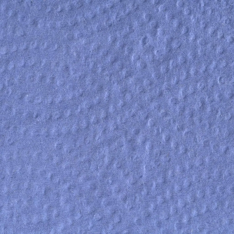 Бумага протирочная лист Luscan Professional Optima 2сл Zсл 200л/уп голубая