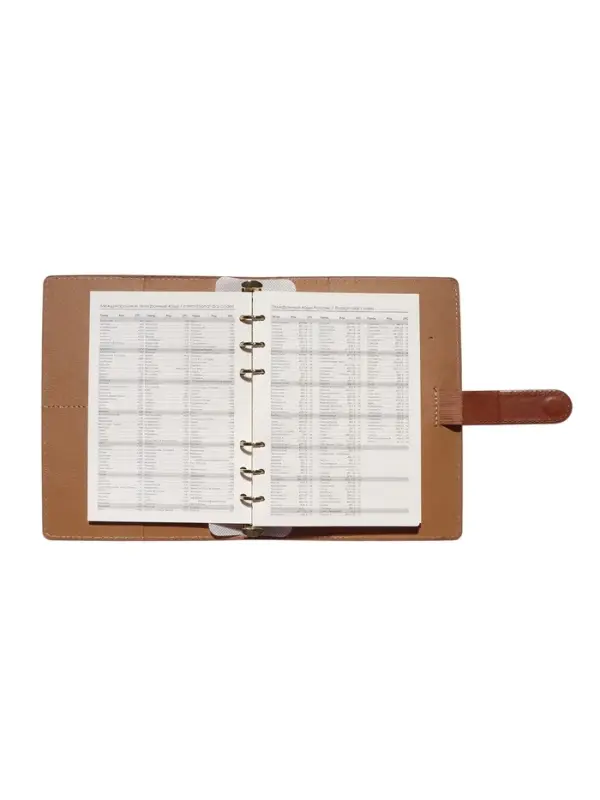 Органайзер на кольцах, C6, с хлястиком, 80л, линия, к/зам, Коричневый Органайзер на кольцах, C6, с хлястиком, 80л, линия, к/зам, Коричневый