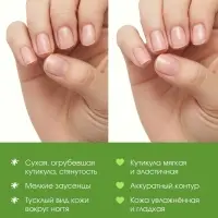 Масло для кутикулы в карандаше с ароматом киви, 2 г, PICO MICO