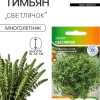 Семена Тимьян &laquo;Светлячок&raquo; 0.5 г, &laquo;Агросс&raquo;