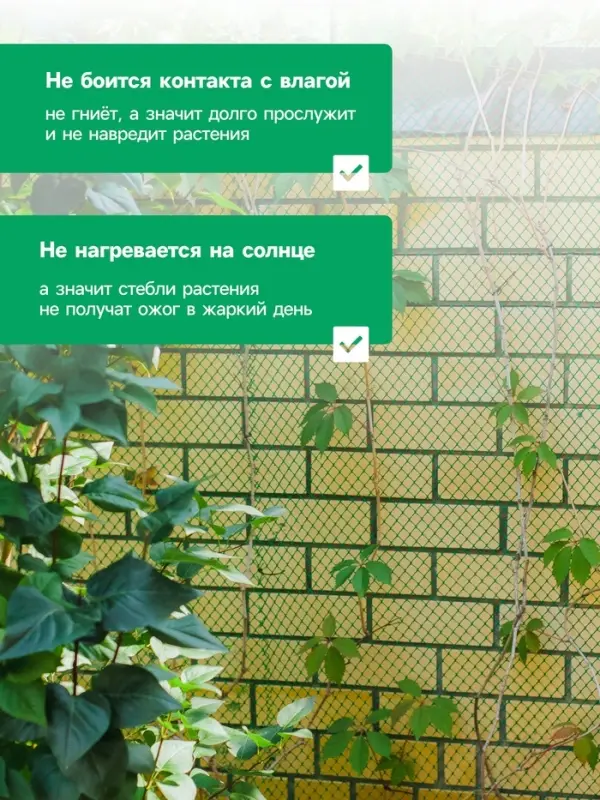 Сетка садовая, 2&times;10 м, ячейка ромб 6&times;6 мм, от птиц, пластиковая, зелёная, Greengo