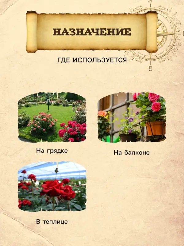 Грунт для Роз PETER PEAT, линия &laquo;Хобби&raquo;, 10 л