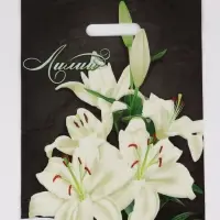 Пакет "Лилии, полиэтиленовый с вырубной ручкой 30х40 см, 60 мкм Пакет "Лилии, полиэтиленовый с вырубной ручкой 30х40 см, 60 мкм