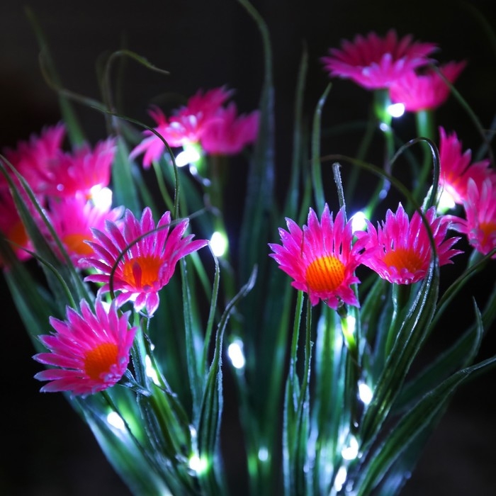 Садовый светильник на солнечной батарее «Маргаритки», 70 см, 42 LED, свечение белое Садовый светильник на солнечной батарее «Маргаритки», 70 см, 42 LED, свечение белое