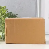 Сувенир керамика "Курочка с цветами на крылышках" 8х6,4х9,2 см