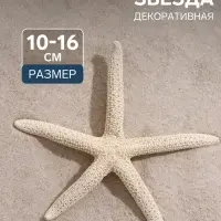 Морская звезда декоративная, 10-16 см