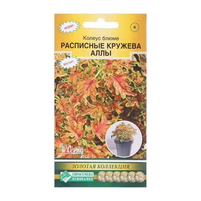 Семена Колеус блюме   Семена Колеус блюме  "Кружева Аллы",  10 шт