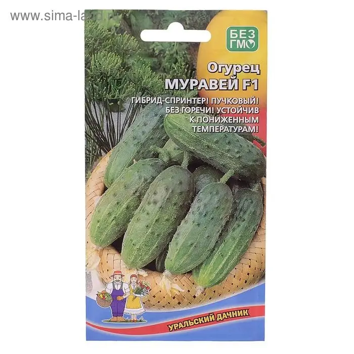 Семена Огурец Муравей F1 10 шт Семена Огурец Муравей F1 10 шт