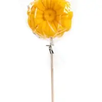 Карамель леденцовая &laquo;Цветы Botanical&raquo; на палочке, 30 г