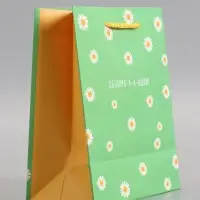 Пакет подарочный "Ромашки - обнимашки" ламинированный 18 х 22,3 х 10 см