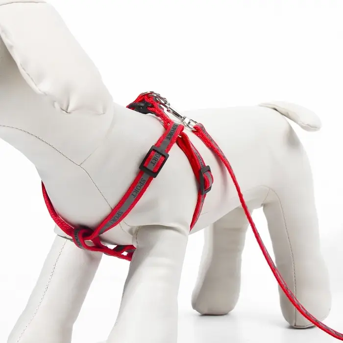 Шлейка с поводком &laquo;Спорт&raquo;, ОГ 23-35 с, ширина 1 см, поводок 120 см, светоотражающий, красная