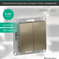 Выключатель двухклавишный ATLASDESIGN схема 5 10АХ механизм шампань