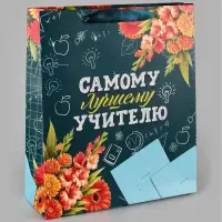 Пакеты подарочные &laquo;Учителю&raquo;, набор 3 шт., 26&times;30&times;9 см