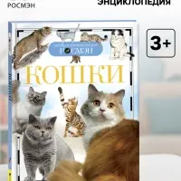 Детская энциклопедия &laquo;Кошки&raquo;