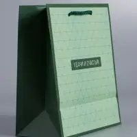 Пакет подарочный ламинированный &laquo;Минимализм в деталях&raquo;, травяной, 18&times;22.3&times;10 см
