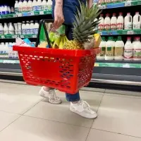 Корзина покупательская пластиковая 28 л, 51.5&times;34&times;26 см, красная