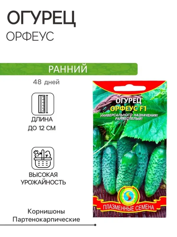 Семена Огурец Семена Огурец "Орфеус", F1, 10 шт