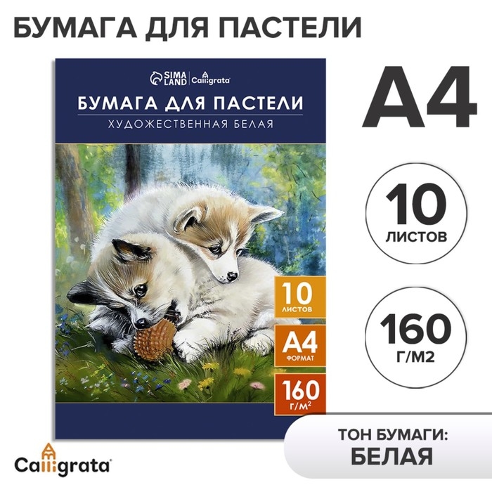 Бумага для пастели А4, 10 листов  Бумага для пастели А4, 10 листов "Щенки", блок 160 г/м2, в папке