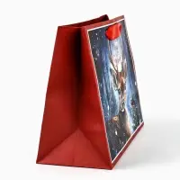 Пакет подарочный новогодний крафтовый, &laquo;Чудеса случаются&raquo;, 23&times;18&times;10 см
