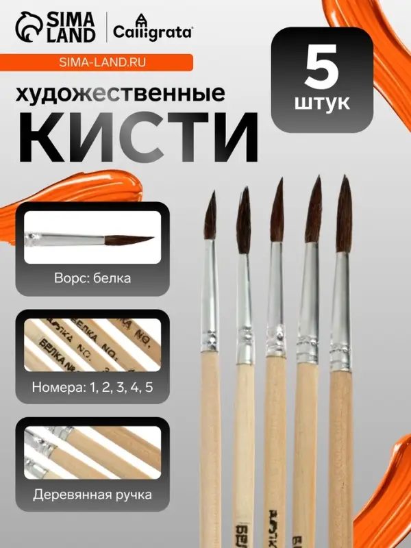 Набор кистей для рисования, белка, 5 штук: № 1, 2, 3, 4, 5, круглые, деревянная ручка, международный размер