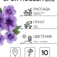 Семена Цветов Петуния &laquo;Мираж Лавандер&raquo;, 10 шт.