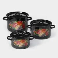 Набор кастрюль эмалированных &laquo;Жостово&raquo;, 3 шт.: 1.5 л, 2.9 л, 4.5 л, чёрный