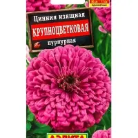 Семена цветов Цинния Крупноцветковая пурпурная , Ц/П,0,3 г Семена цветов Цинния Крупноцветковая пурпурная , Ц/П,0,3 г