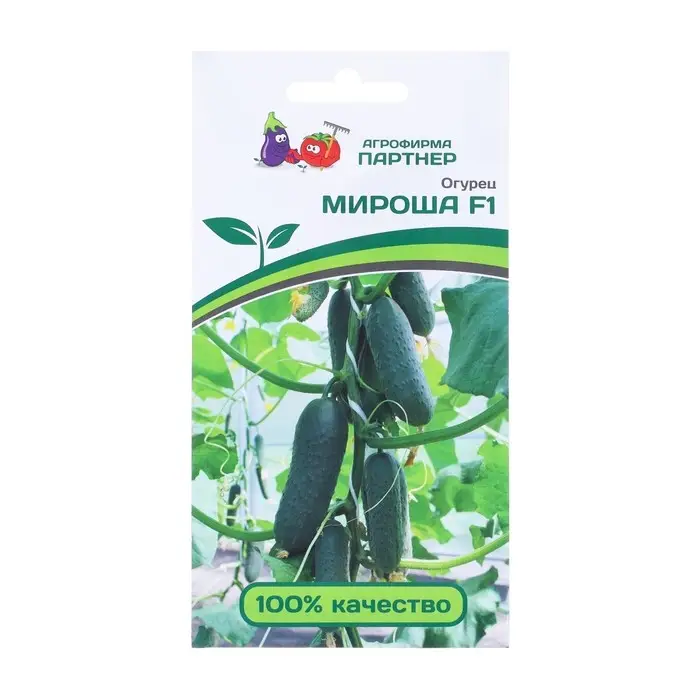 Семена Огурец «МИРОША» F1, гибрид, партенокарпический, 10 шт. Семена Огурец «МИРОША» F1, гибрид, партенокарпический, 10 шт.