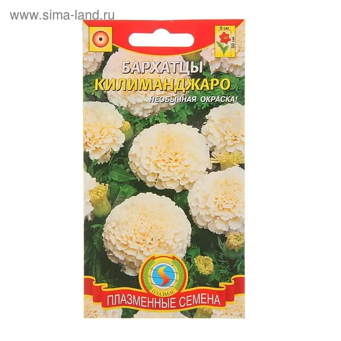 Семена Бархатцы  Семена Бархатцы "Килиманджаро", 10 шт