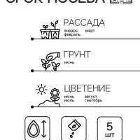 Семена комнатных цветов Пеларгония &laquo;Рафаэлла&raquo;, &laquo;АЭЛИТА&raquo;, F1, 5 шт.