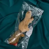 Украшение ёлочное "Белка с шишкой" 4,5х20 см, бежевый