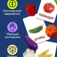 Обучающий набор по методике Г. Домана &laquo;Овощи&raquo;: 9 карточек + 9 овощей, счётный материал