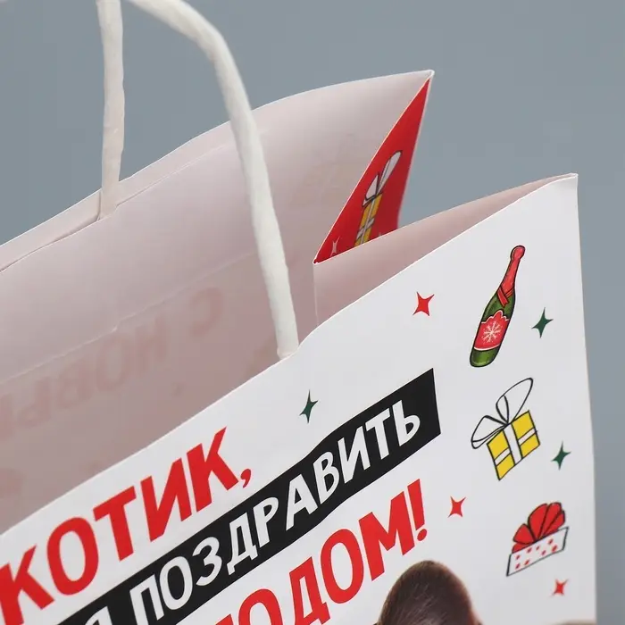 Пакет подарочный новогодний крафтовый &laquo;Котик&raquo;, 22&times;22&times;11 см
