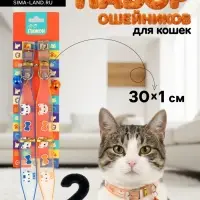 Набор ошейников для кошек &laquo;Котя&raquo;, 30&times;1 см, оранжевый, синий