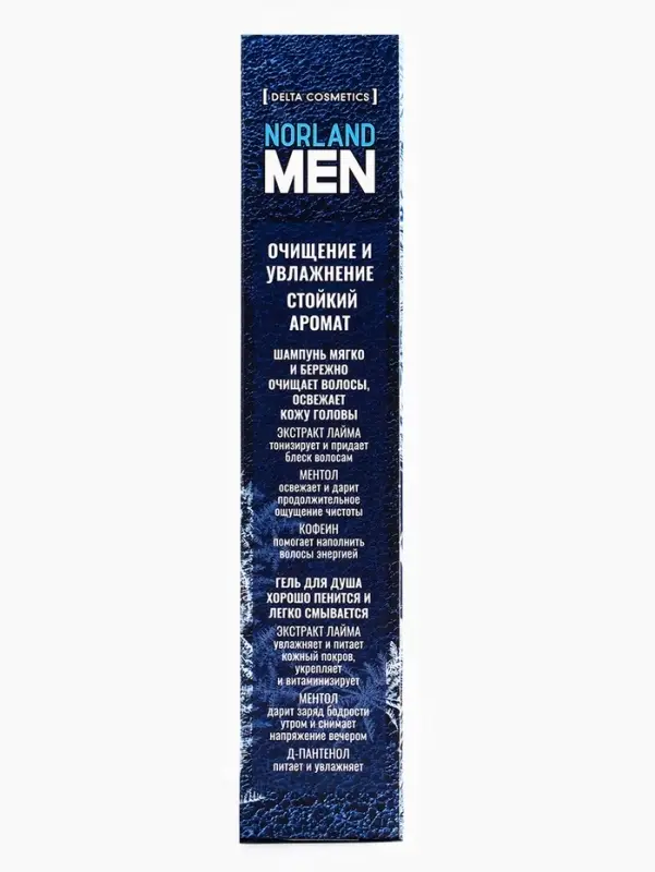 Подарочный набор мужской Norland Men Ice Freshness: гель для душа 250 мл + шампунь 250 мл