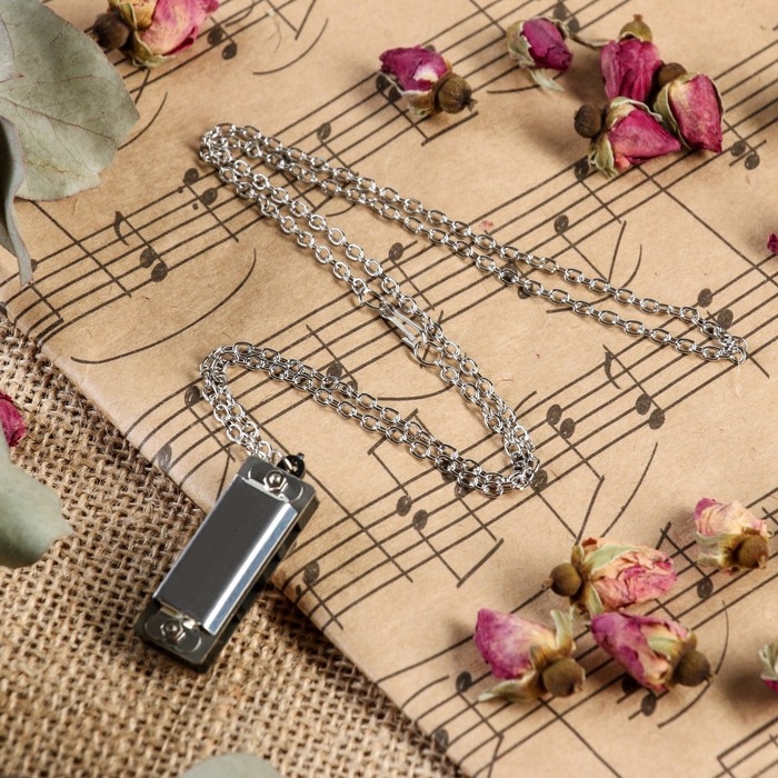 Губная гармошка Music Life  4 отверстия, 8 тонов, 3,5х1,5х1см, цепь 28см, серебристая Губная гармошка Music Life  4 отверстия, 8 тонов, 3,5х1,5х1см, цепь 28см, серебристая