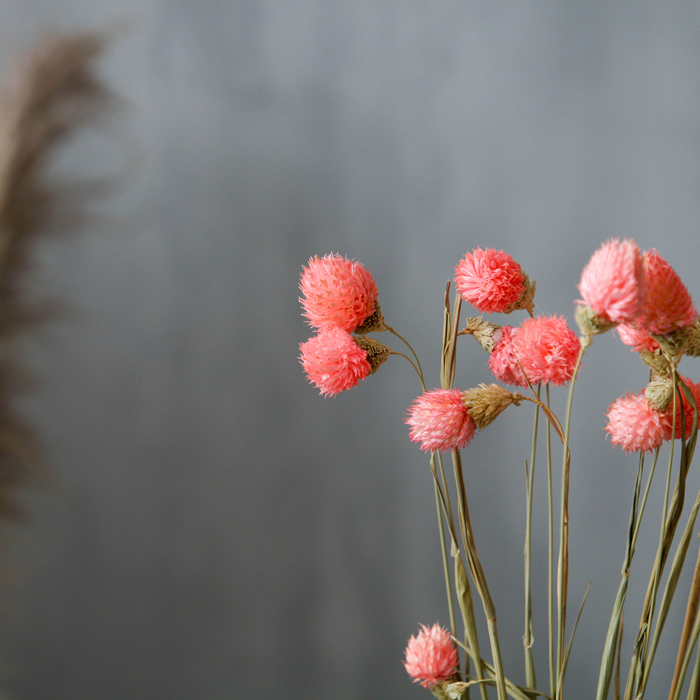 Сухоцвет &laquo;Гомфрена шаровидная&raquo; набор &mdash; от 17 до 20 шт., цвет розовый