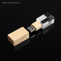 Флешка E 310 Wood BL, 32 ГБ, USB2.0, чт до 25 Мб/с, зап до 15 Мб/с, кристалл в дереве