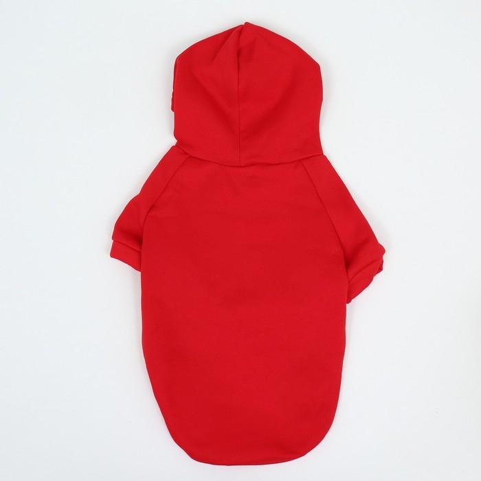 Толстовка "Яблочко", размер ХS (ДС 20, ОГ 32см)