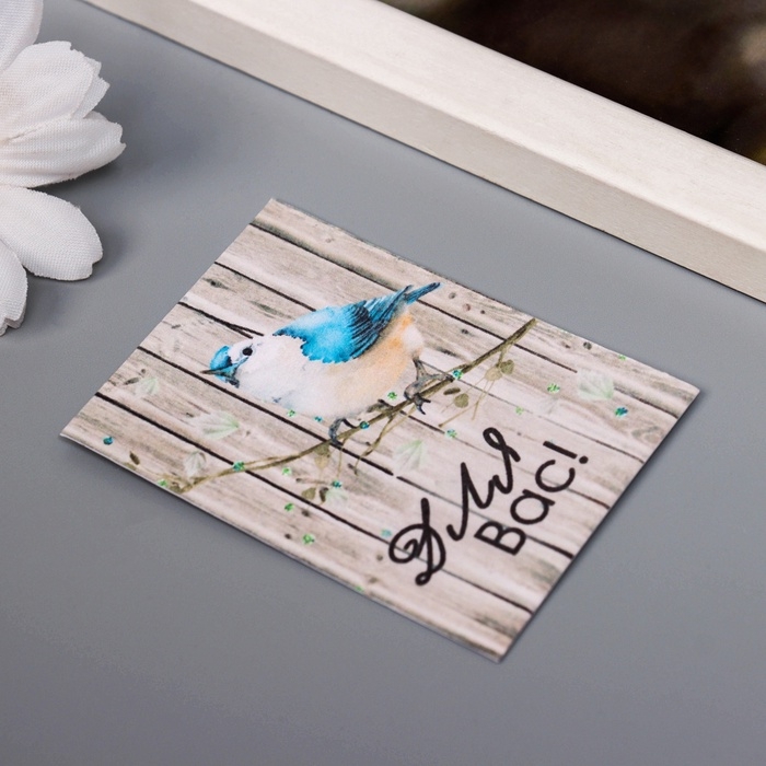 Набор открыток с семенами  Набор открыток с семенами "Вырасти сам" "Для вас" 5*7см 3 шт