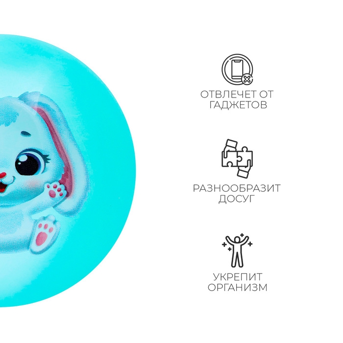 Мяч детский ZABIAKA «Зайчонок», d=22 см, цвет МИКС Мяч детский ZABIAKA «Зайчонок», d=22 см, цвет МИКС