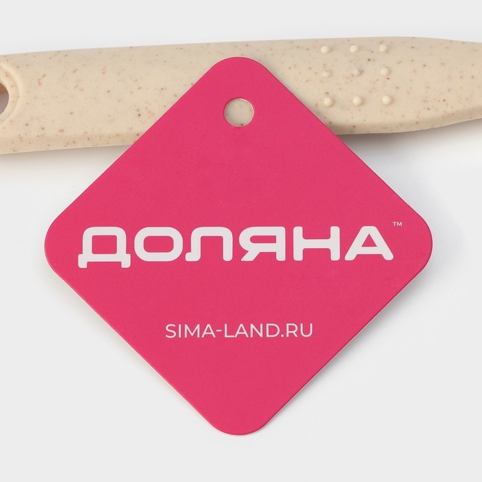 Ложка гарнирная Доляна «Беж», 28,5 см, цвет бежевый Ложка гарнирная Доляна «Беж», 28,5 см, цвет бежевый